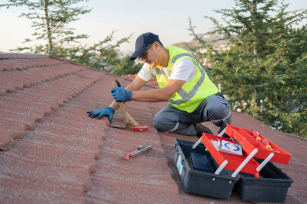Roof Gutter Cleaning in Bunkie, LA